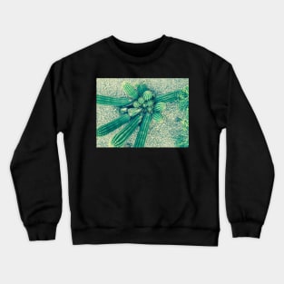 Phoenix AZ Country Club Park 1a Crewneck Sweatshirt